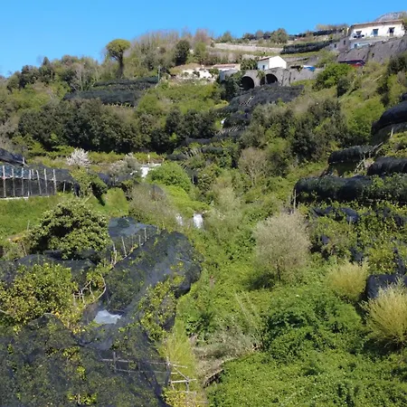 Antica Cartiera Sant'elia Apartment *